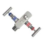 AVM020 2 valve manifold 1
