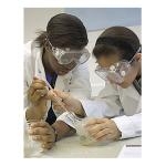 Students with lab thermometer