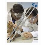 Students with LO tox lab thermometer