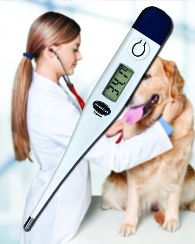 Banner   Vets instruments   listing tile