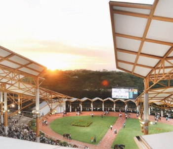 turf club singapore