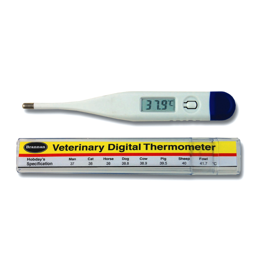 Umkehren spielen Treffen veterinary digital thermometer Nachschub