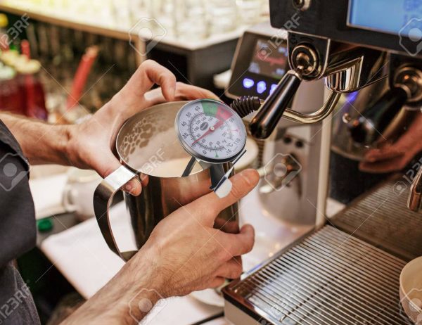 Milk & coffee frothing thermometer - 125mm probe