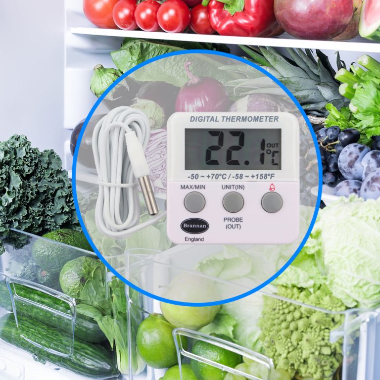 Twin reading thermometer Brannan