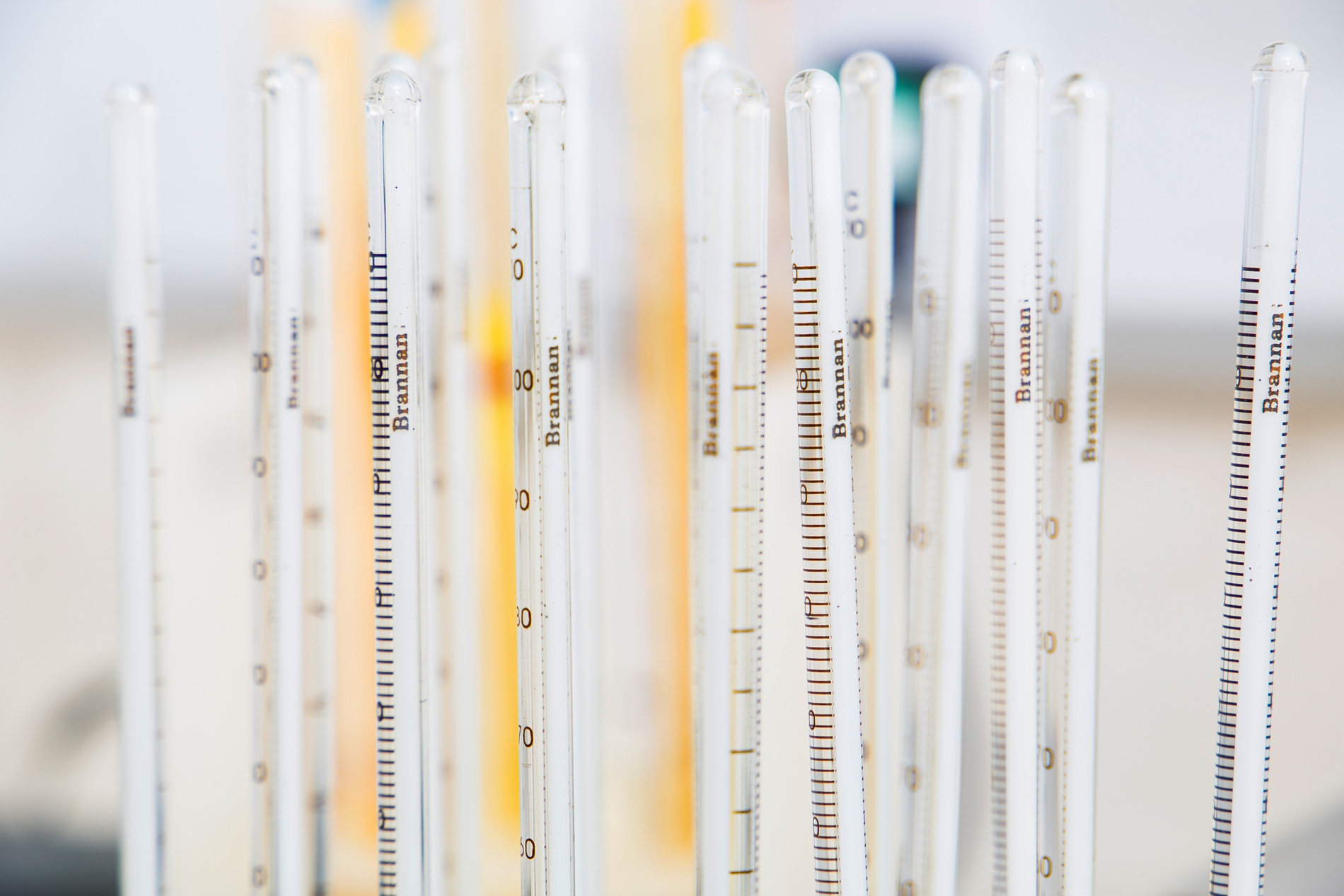 Methods of thermometer calibration Brannan