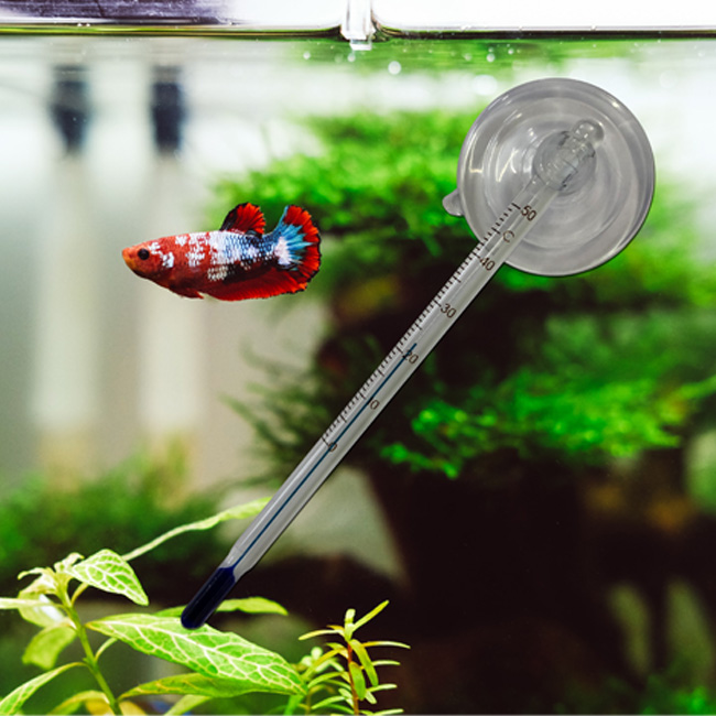 Aquarium thermometer