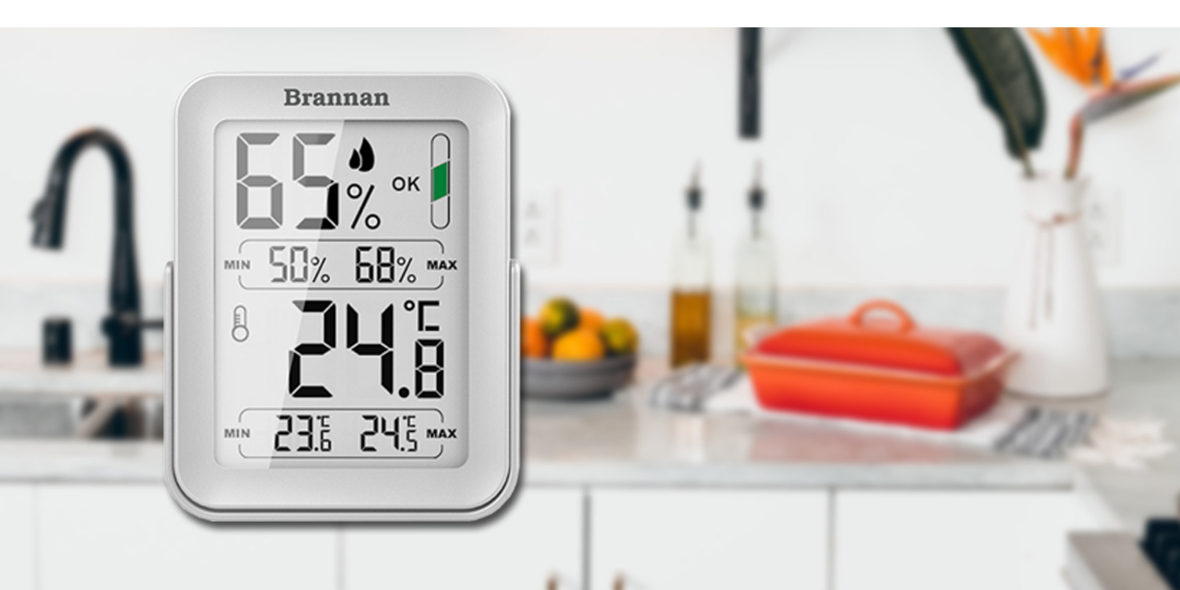 Brannan max min thermometer & hygrometer with auto reset | Brannan