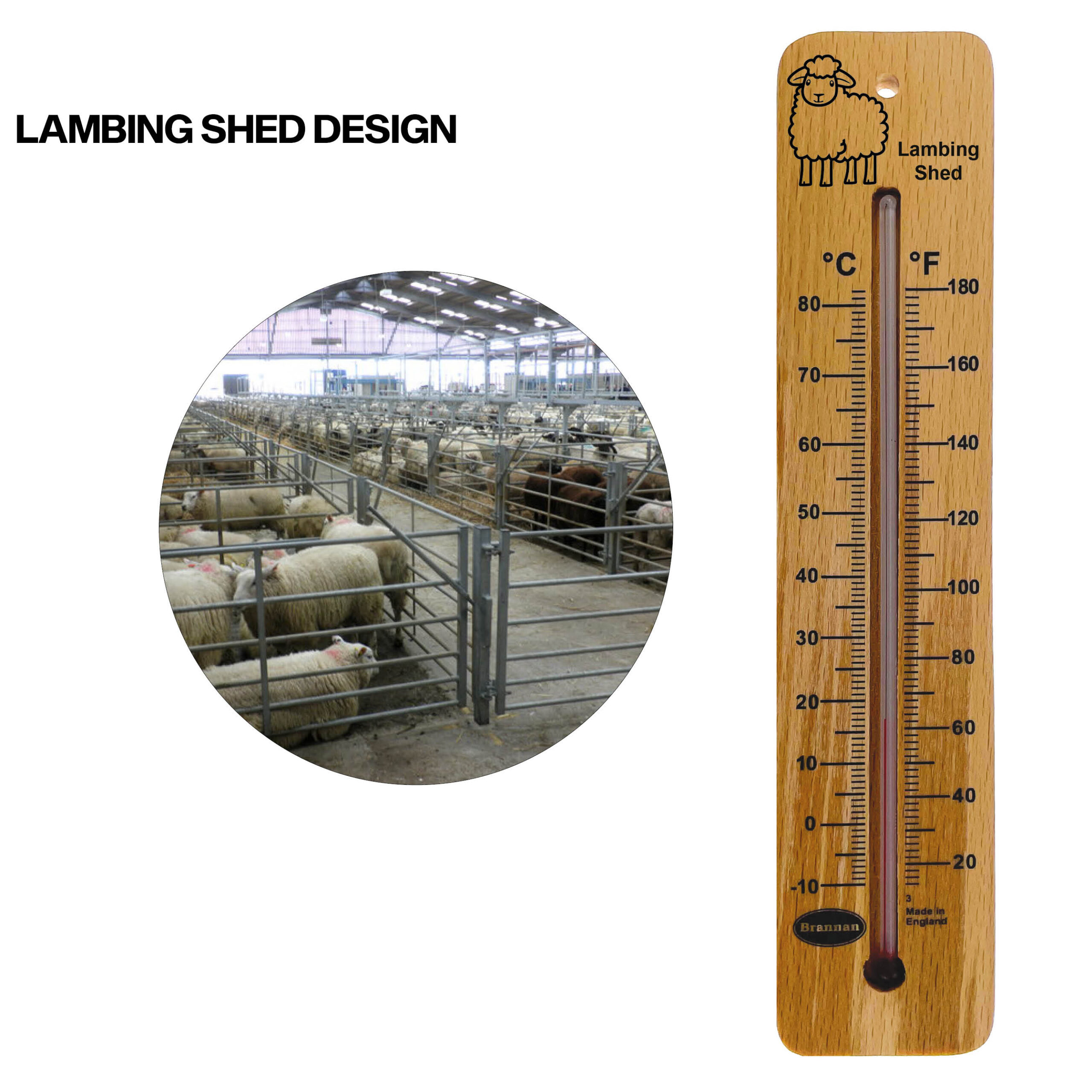 215mm wood wall thermometer – lambing shed design - Image 8